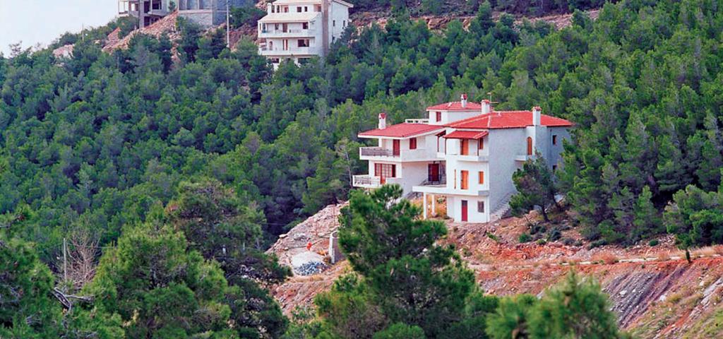 Πρώτα οι δασικοί χάρτες και μετά κτηματολόγιο λέει το ΣτΕ Πρώτα οι δασικοί χάρτες και μετά κτηματολόγιο λέει το ΣτΕ